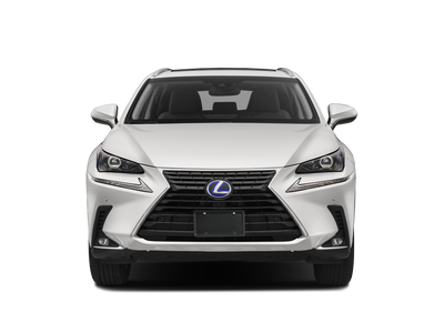 2020 Lexus NX 300h AWD