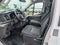 2024 Ford Transit Cargo Van T-250 130" Low Rf 9070 GVWR RWD