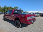 2019 Ford Super Duty F-250 SRW Platinum