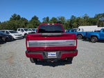 2019 Ford Super Duty F-250 SRW Platinum