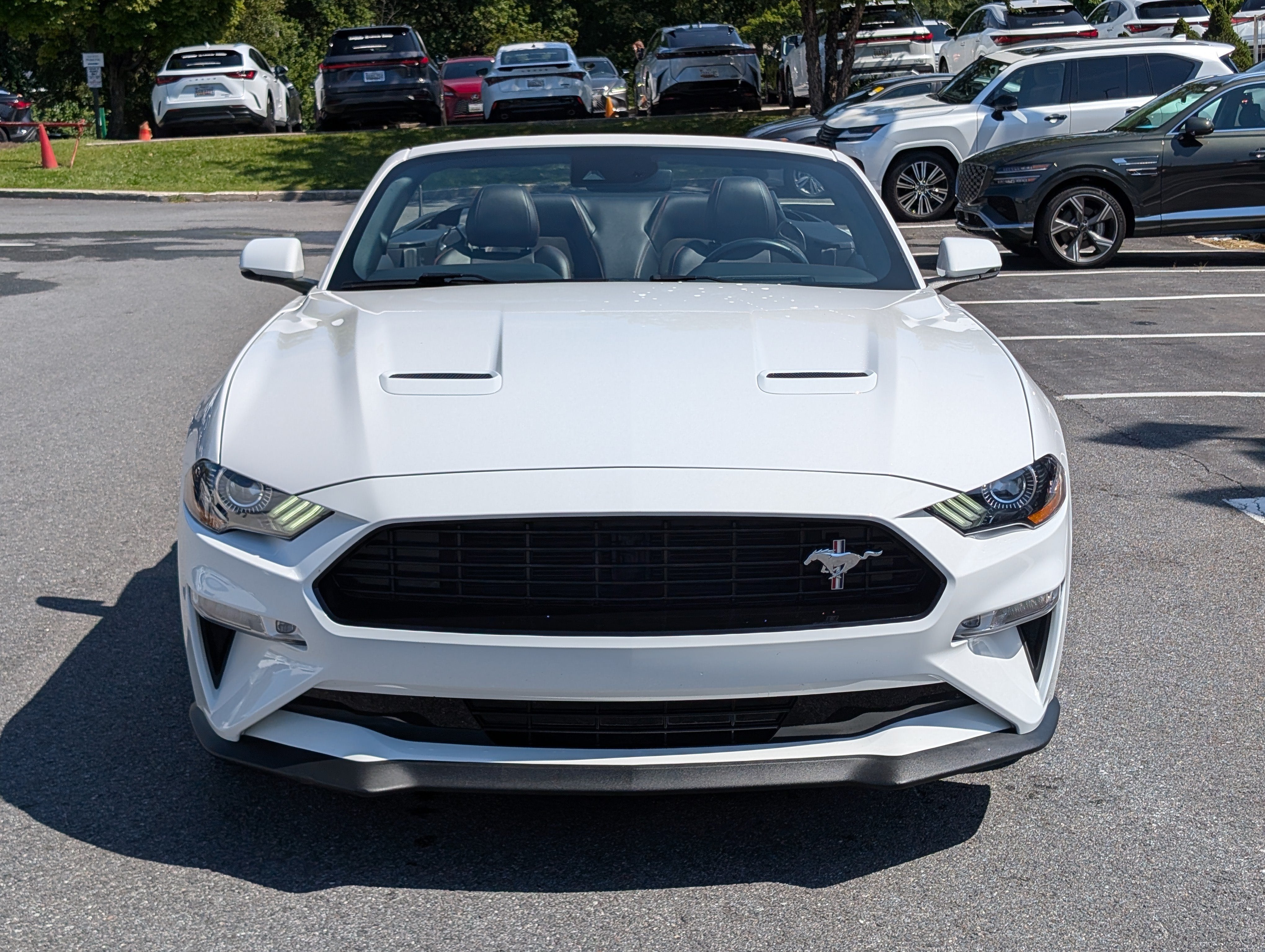 2019 Ford Mustang GT Premium