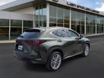 2024 Lexus NX 350 Luxury AWD