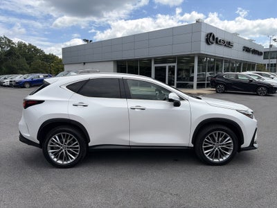 2024 Lexus NX 350 Luxury AWD