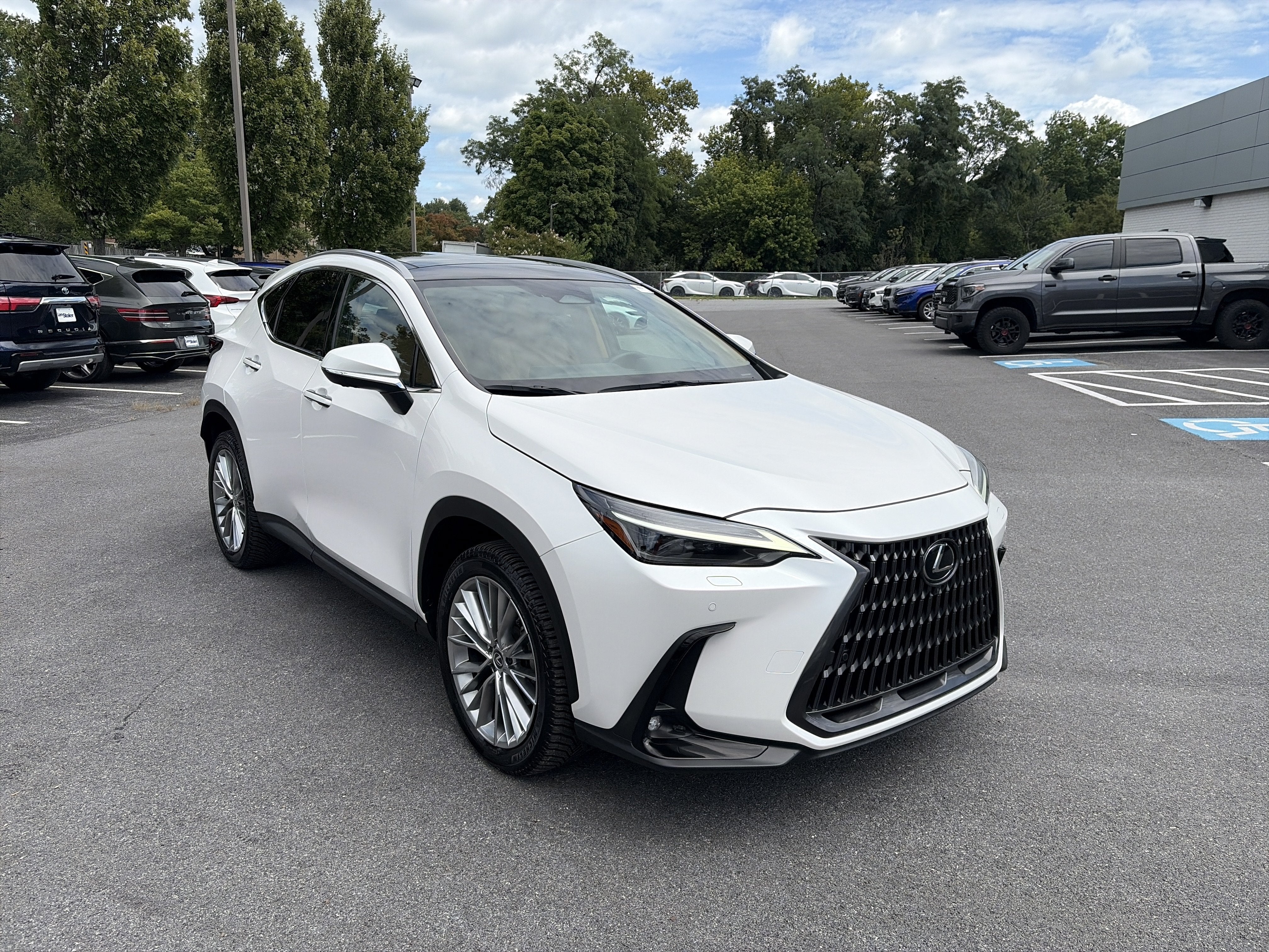 2024 Lexus NX 350 Luxury AWD