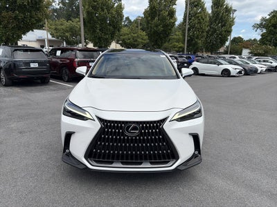2024 Lexus NX 350 Luxury AWD