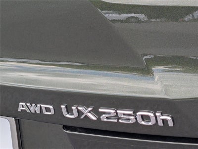 2024 Lexus UX UX 250h