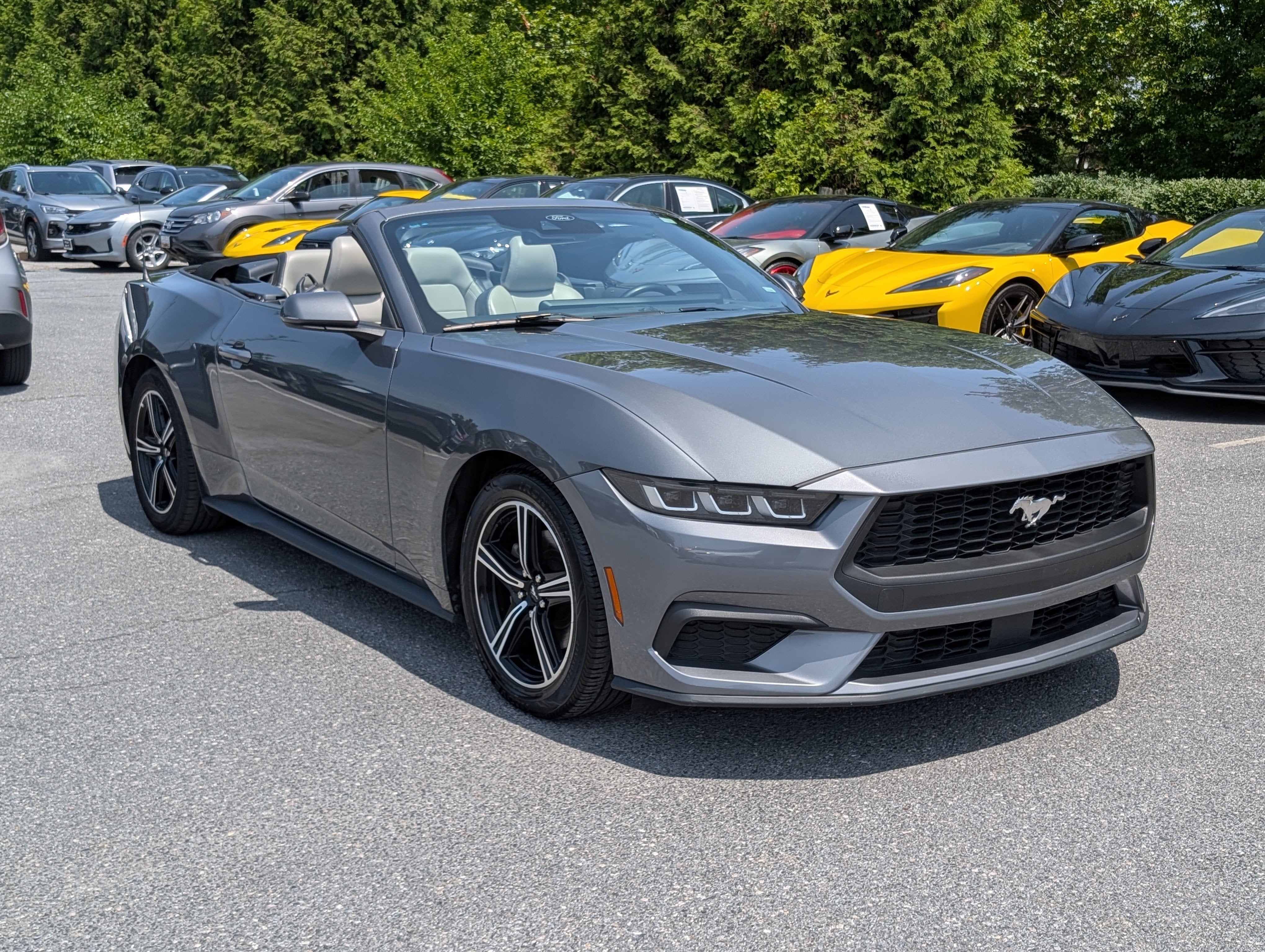 2024 Ford Mustang EcoBoost