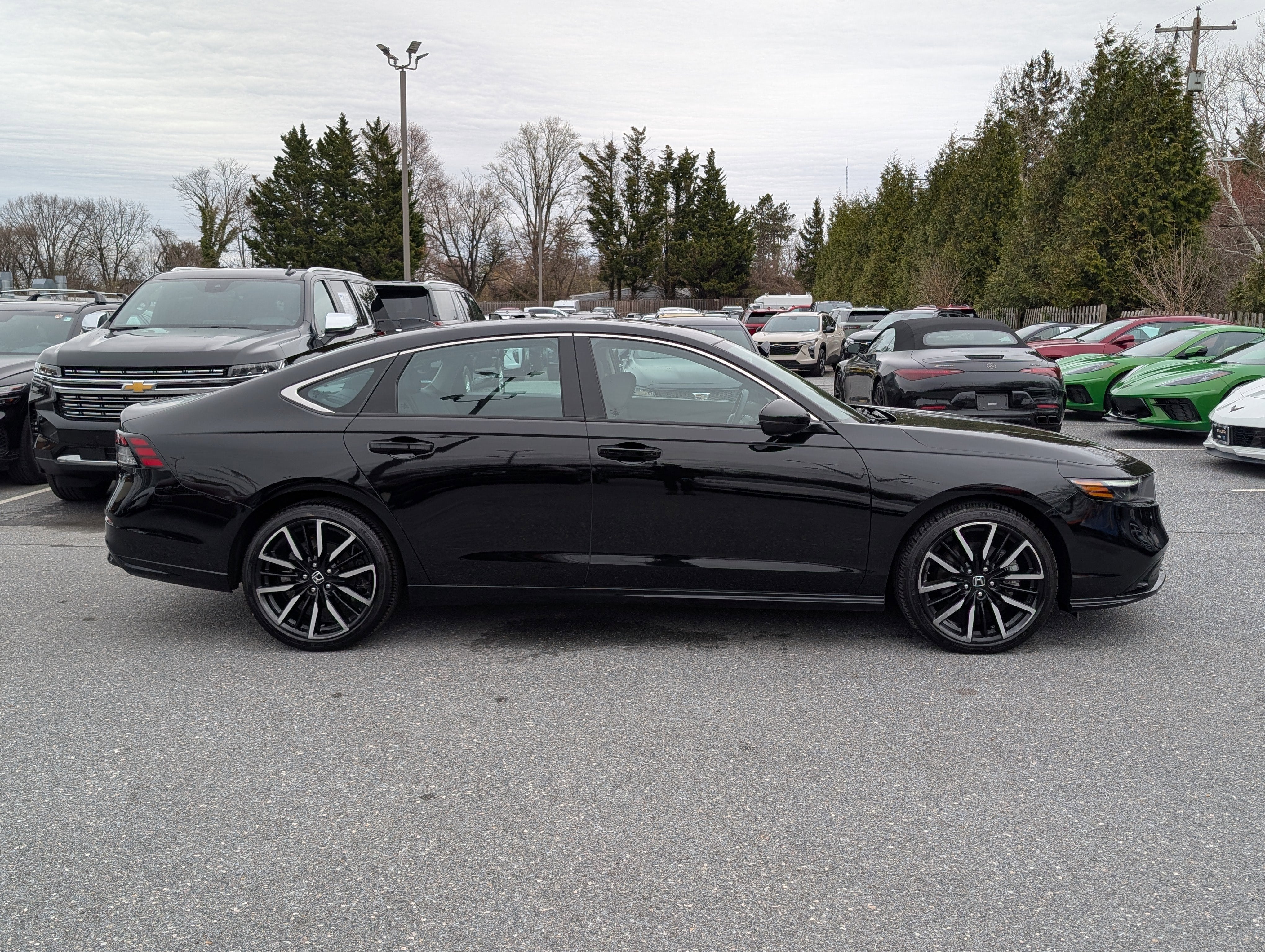 2024 Honda Accord Hybrid Touring